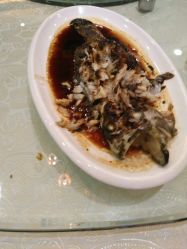 -沈阳新都绿城喜来登酒店·宴会厅
