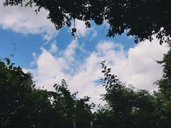 -华侨城湿地公园