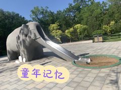 -迎泽公园