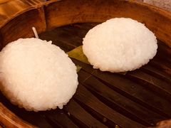 茨毛圆子-双塔老饭店
