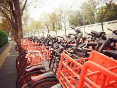-柯达真美(老重庆中路店)