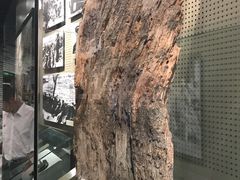 -辽沈战役纪念馆