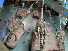 -安徽省地质博物馆