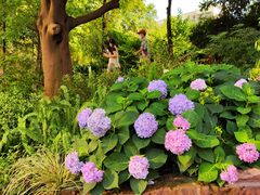 -成都市活水公园