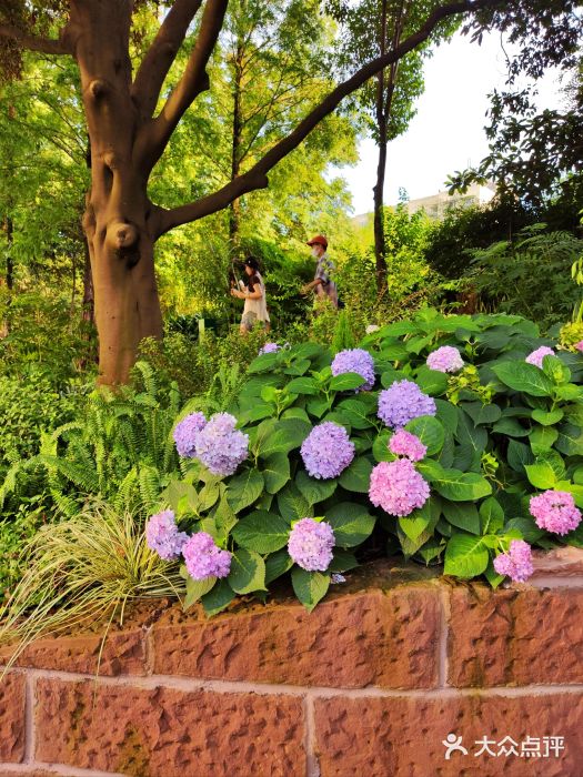 成都市活水公园图片