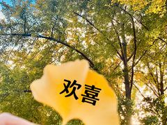 -旺顺阁·北京菜·烤鸭(大望路店)