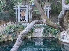 -蝴蝶泉公园