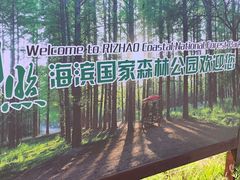 -日照海滨国家森林公园