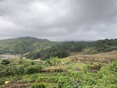 -福建土楼(南靖)景区