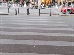 -狐狸和向日葵(北京路店)