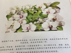 -阿诺泰·泰国餐厅(棕北店)