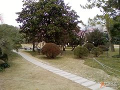 庭院-上海虹桥迎宾馆