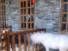 -巴倒烫陆派重庆火锅(南山店)