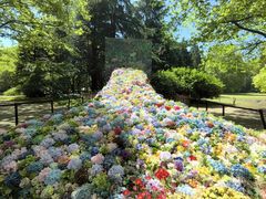 -上海共青森林公园