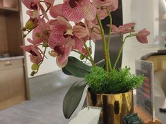 -楚禾宴·家宴(光谷大道店)