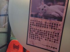 -猫咪博物馆(顶澳仔猫街店)