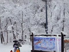 -中旅松花湖滑雪场