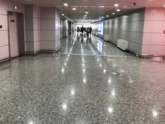 -张家界荷花国际机场