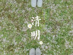 -上海共青森林公园