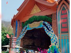 -西双版纳原始森林公园