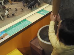-大阪儿童乐园