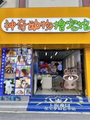 -神奇动物撸宠馆·羊驼·小浣熊·异宠(豫园店)