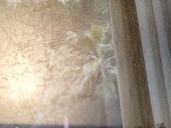 -端艾堂·SPA·艾灸(棕榈泉013店)