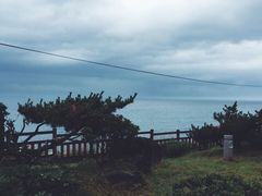 -龙头岩(Dragon Head Rock)