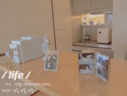 -baby bella小贝拉母婴护理中心(北京东隅店)