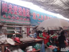 -山东柏宁水族批发广场