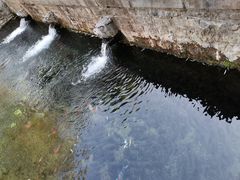 -教师之家赵家羊汤馆(东青龙街店)