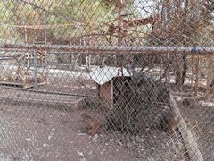 -猎鹰谷实弹射击俱乐部