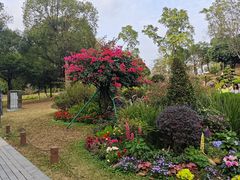 -东莞植物园