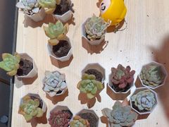 -山四砂锅(太原钟楼街店)