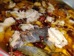 -雲蜀龙阁·金牌水煮鱼(方庄店)