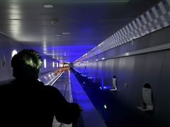 -白鹤梁水下博物馆