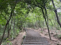 -紫金山山顶公园