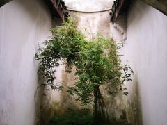 -乌镇东栅景区-茅盾故居