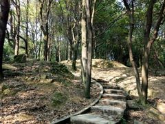 -火炉山森林公园
