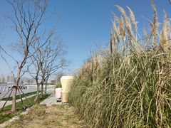 -上海山野camping·户外天幕烧烤·团建拓展营地