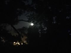 -金鸡山公园