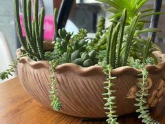 -联合口腔(西环诊所)