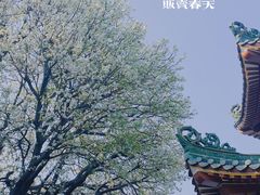 -中山公园