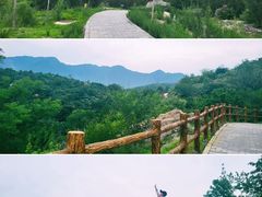 -白水寺森林公园