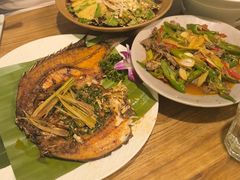 -紫滇源云南生态菜(丹凤街店)