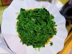 -阿英煲(凉城路店)