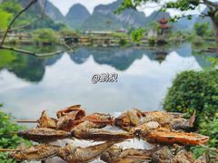 -靖西鹅泉风景区