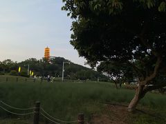 -红花山公园