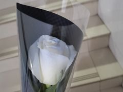 -L.C FLORA花予你(城西银泰城店)