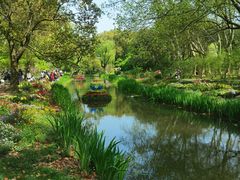 -上海共青森林公园